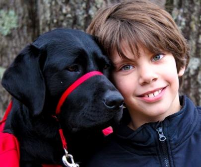 Autism Assistance Dog - 4 Paws For Ability
